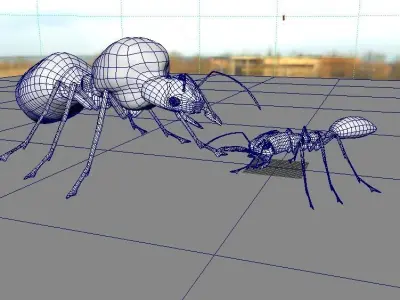 Odontomachus ant and Atta ant 3D model