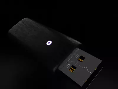 high quality flash memory Free 3D model