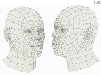Adult African Male Head 3D model