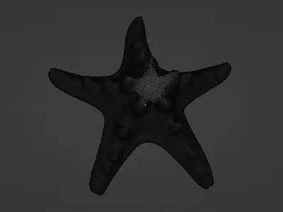 Starfish Low-poly 3D model