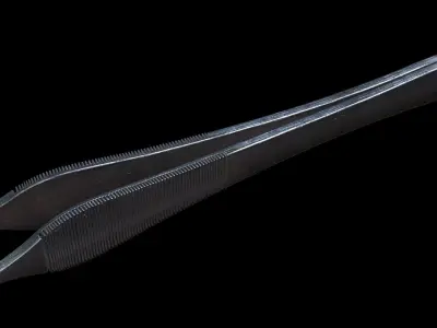 Adson Brown Forceps 3D Model  Low-poly 3D model