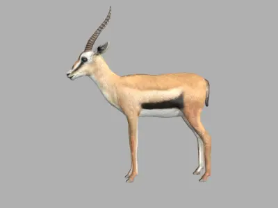 Gazelle with long horns Low-poly 3D model