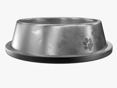 Pet Bowl 3D model