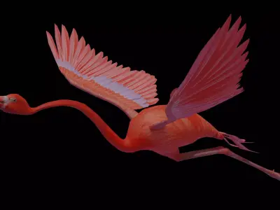 Flamingo flying Low-poly 3D model