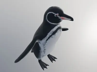 penguin 3D model 2