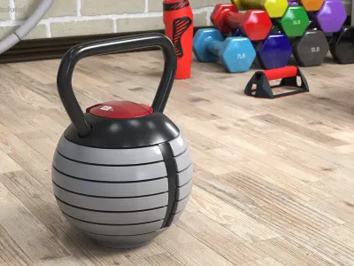 Adjustable Kettlebell Gray 3D model