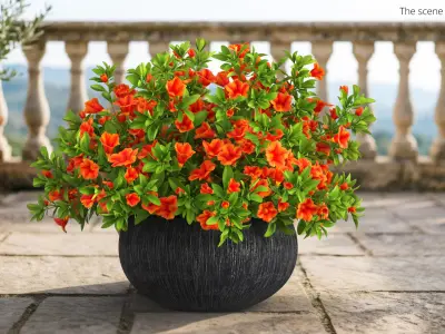 Petunia Flower Pot with Soil Orange 3D model