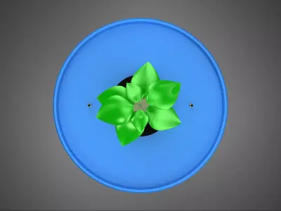 HYDROPONIC AEROPONIC PLANT GROW MEDIUM MEDIA DUTCH BUCKET SYSTEM 3D model