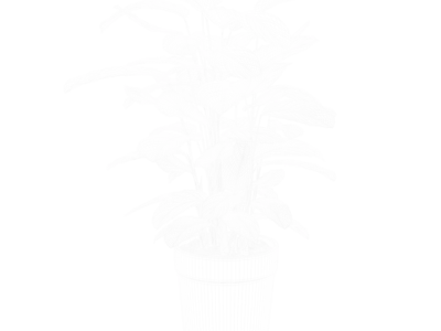  Calathea Argentea Plant Model  purchase