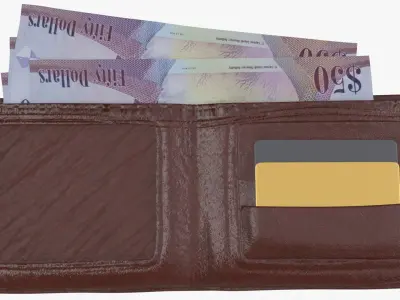 Cayman Islands British 50 Dollar Wallet Money Purse 3D model