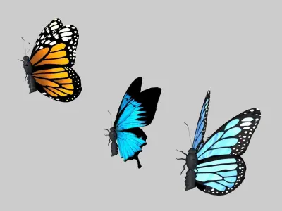 Low Poly Butterfly Low-poly 3D model buy