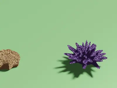 Coral Reef Pack Low-poly 3D model