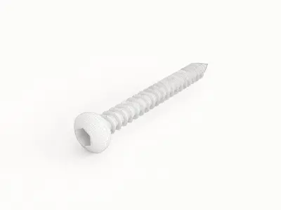 Screw 07 3D model