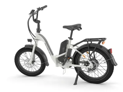 RadExpand e-bike 3D model