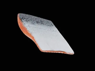 Fish 1 3D model
