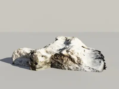 Fossile Whale Bone 3d Scan 3D model