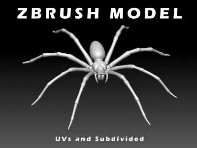 Fishing Spider Low-poly 3D model
