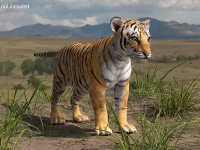 Tiger Cub 3D model