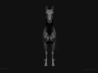 Horse Equine Anatomy Figure Free 3D model