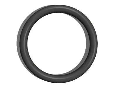 O Ring Vedabras 12146 3D model