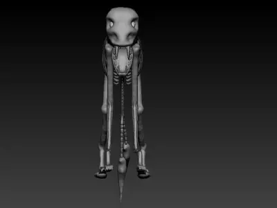 Dinosaur Skeleton 3D model