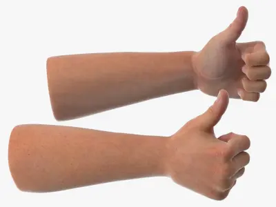 Realistic Hand Models of White Man Thumbs Up 3D model