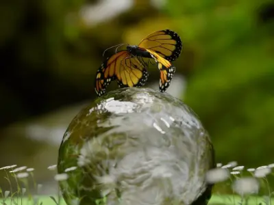 Butterfly sitting on water bubble 3d view Low-poly 3D model