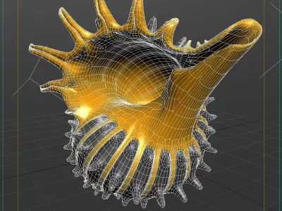 Shell orange and sea 3D model