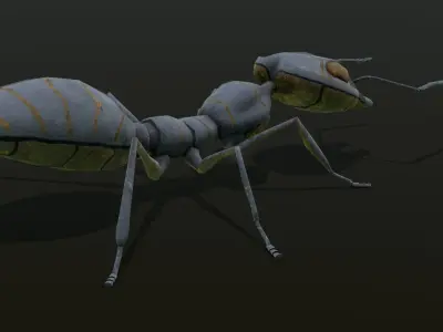 Ant 3D Model Animated and Rigged Low-poly 3D model