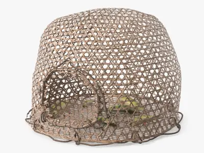  Dome Fishing Basket with Captured Fish Brown 