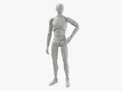 Male Mannequin Rigged 3D model