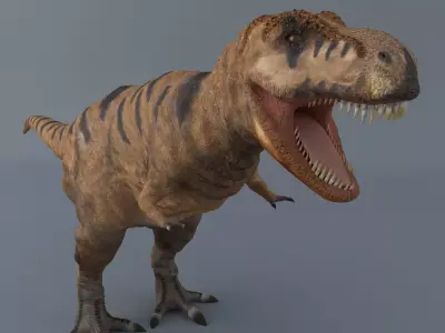  Tyrannosaurus Rex 3D model