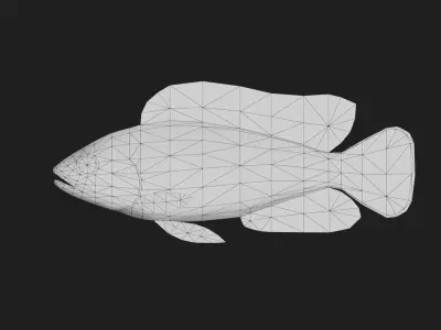 Snapper Low-poly 3D model 17