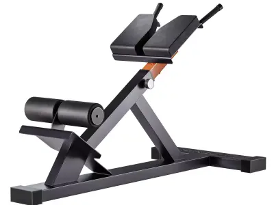 Hyperextension Club Line Lacertosus 3D model