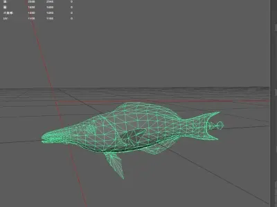 Wrasse Low-poly 3D model 9