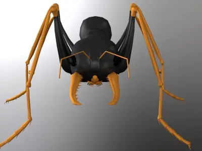 Ant Jack Jumper  3D model