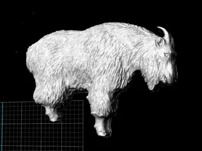 goat 3d hollowed model 3D model