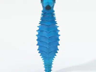Seahorse Low-poly 3D model buy