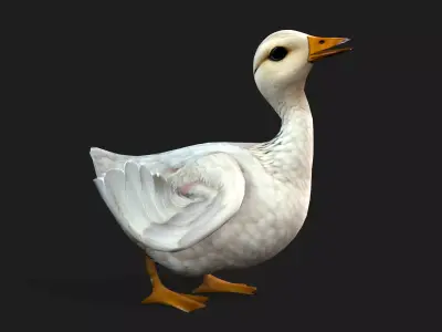 Duck A1 Free 3D model