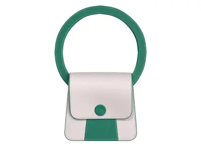 White Green Combo Leather Flap Bag 3D model