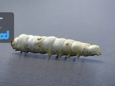 Silkworm 3D model purchase