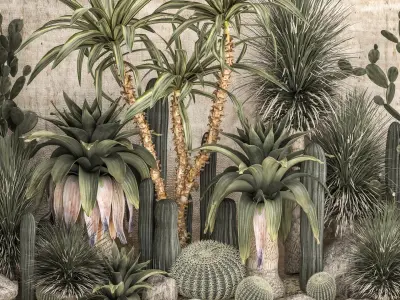  Collection of tropical desert plants 1108A 