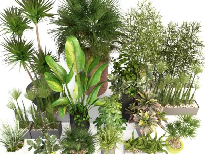 Plants 19 3D model