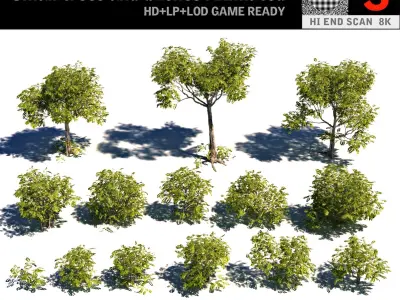 Small trees and bushes Animated (2) 3D model