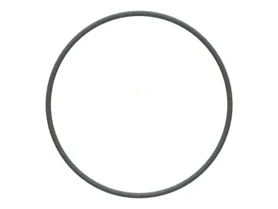 O Ring Vedabras 12492 3D model