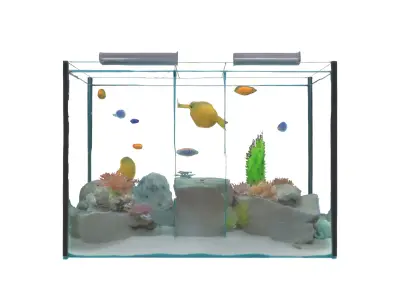 Aquarium Low-poly 3D model