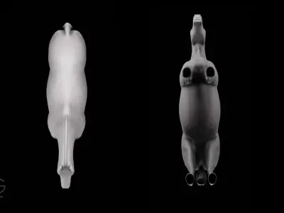 Horse Sculpt 3D model