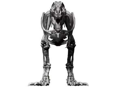 Dinosaur Tarbosaurus Bataar Full Set  3D model