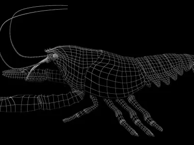 Lobster 3D model purchase