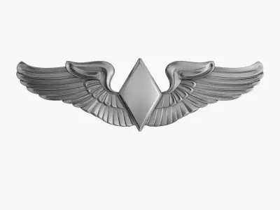 Women Airforce Service Pilot Wings Badge 3D print model